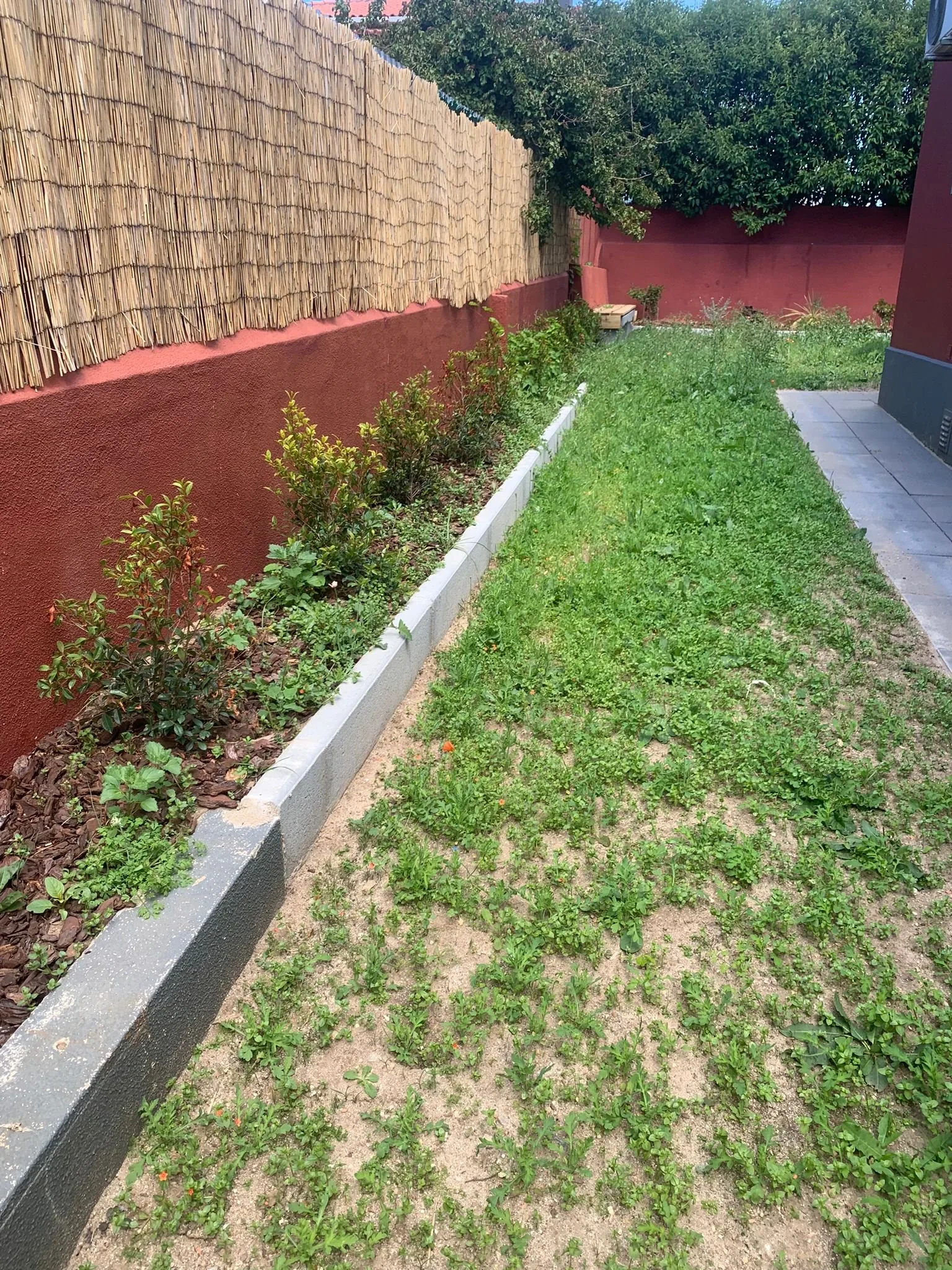 Solstice Villa garden before clean-up